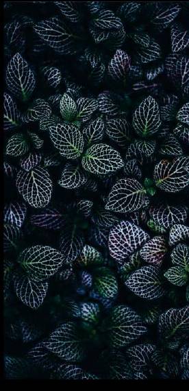 Foliage texture inspiration
